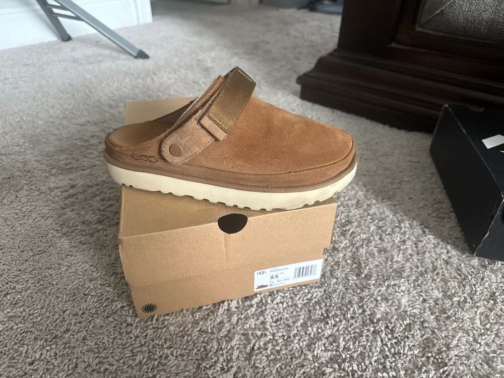 UGG Women's Goldenstar Suede Clog in Chestnut